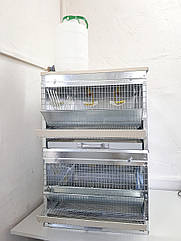 Клітка для перепелів ( Міні — 2 яруси)