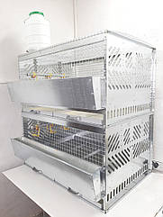 Клітка для бройлерів 2 яруси