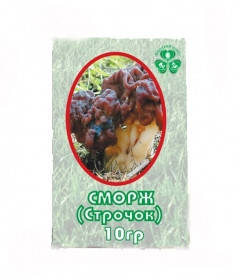 Строчок порошок Фунгодоктор хондропротектор, 10 г, фото 1