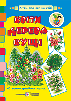 Квіти, дерева, кущі. Демонстраційні картки. Серія «Дітям про все на світі»