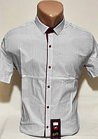 Рубашка мужская с коротким рукавом vk-0001 AND белая в принт приталенная стрейч коттон Турция (тенниска)