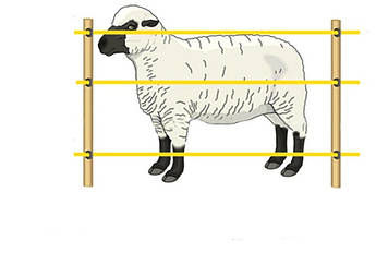 Електропастух для овець (комплект на 500 м.)
