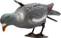 Подсадной голубь Birdland кормящийся (10 шт) Чучело голубя Вяхирь