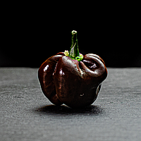 Насіння перцю Хабанеро (Habanero) шоколадний (chocolate)