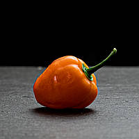 Насіння перцю Хабанеро (Habanero) помаранчевий (orange)