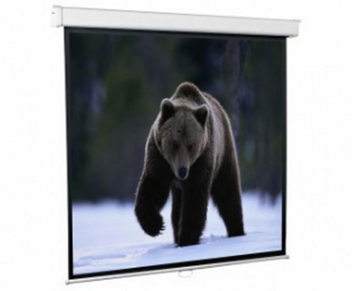 Екран для проектора настінний, фото 1