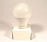 Світлодіодна лампочка EGE LED 10 W TB019, фото 8