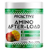 Аминокислоты ProActive Amino After (500 грамм.)