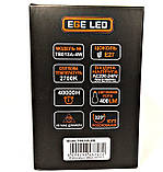 Світлодіодна лампа Filament EGE LED 4w A / PG 95 модель ТВ013А, фото 5