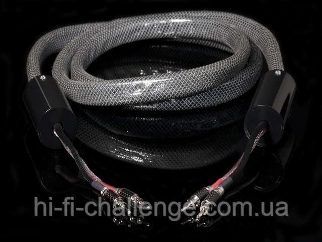Speaker Diamond 8