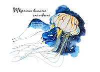 Открытка с медузой "Творчество требует смелости!"