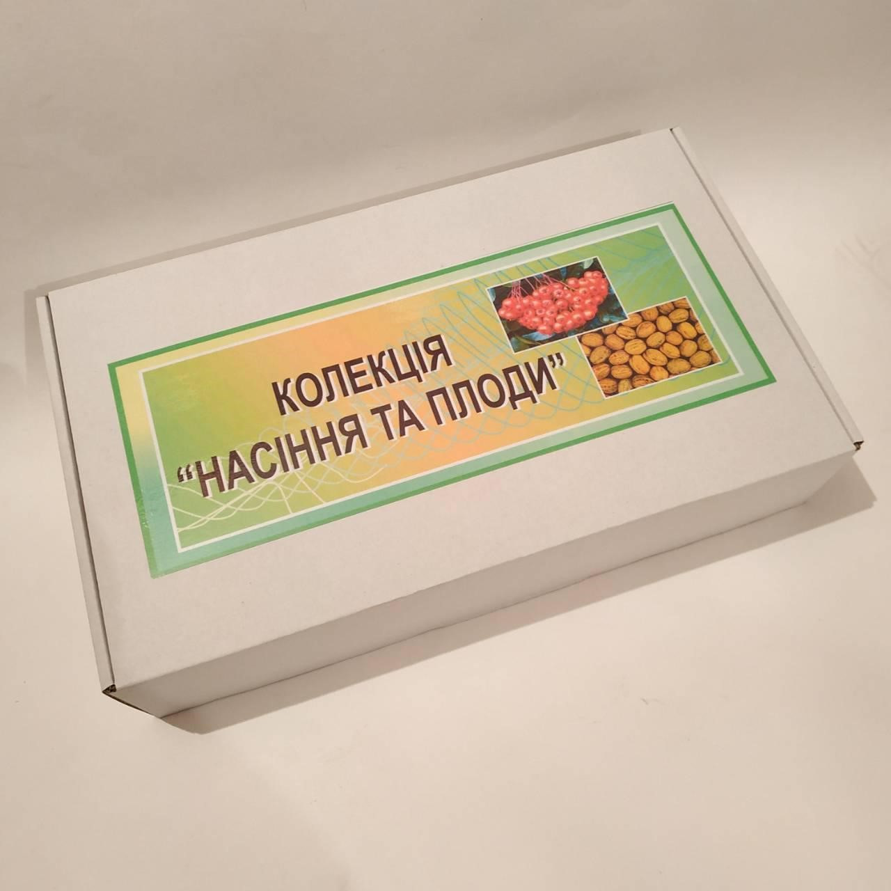 Колекція "Насіння і плоди" 20 зразків