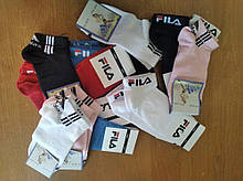 Жіночі спортивні шкарпетки Адідас, Філа. Одна пара