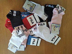 Жіночі спортивні шкарпетки Адідас, Філа. Одна пара