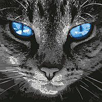 Живопис за номерами Пронизливий погляд KHO4177 Ідейка 40 х 40 см (без коробки)