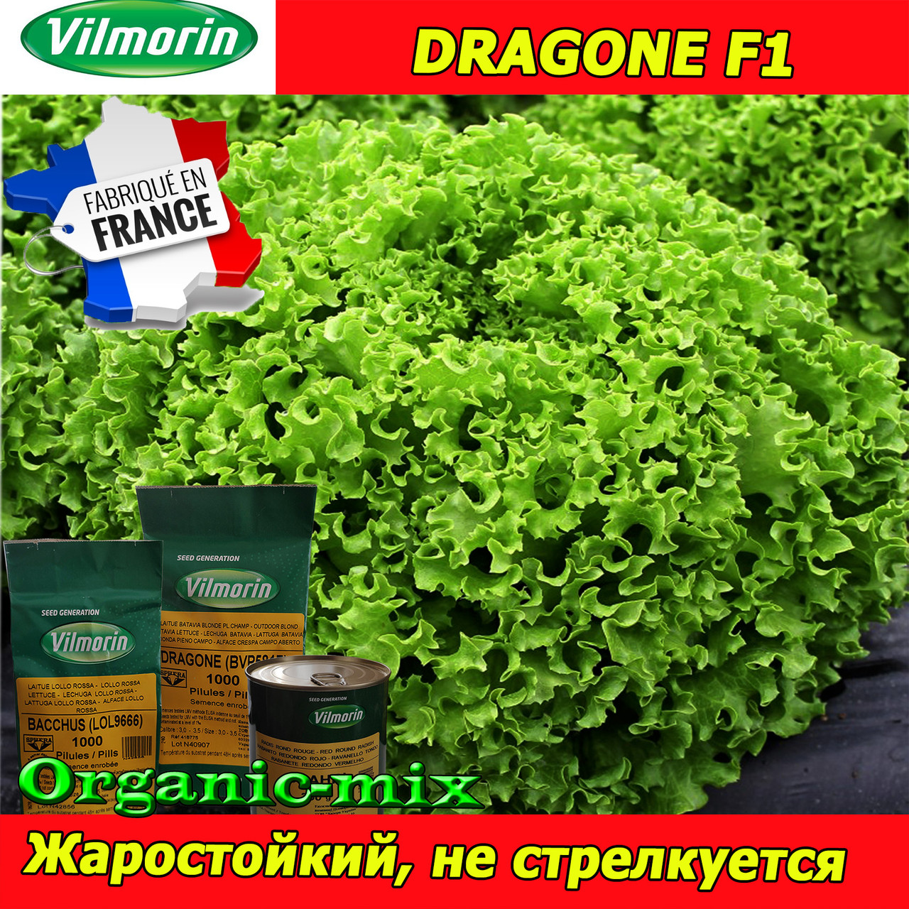 Салат ДРАГОН F1, ТМ Vilmorin (Франція), дразоване насіння, проф. пакет 1000 насіння
