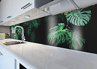 60x250 см Фартук виниловый, оклейка кухни, защитная пленка для кухни Листья монстеры