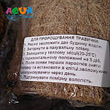 Будиночок декоративний для хом'яків ЗЕЛЕНИЙ ДІМ, фото 2