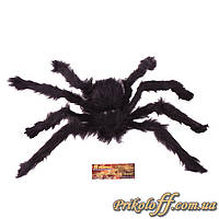 Великий чорний мохнатий павук 45 см