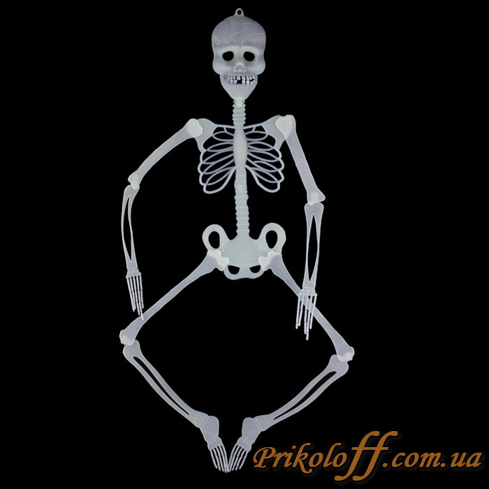 Скелет, світлонакопичувальний великий 150 см
