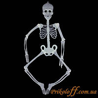 Скелет, світлонакопичувальний великий 150 см