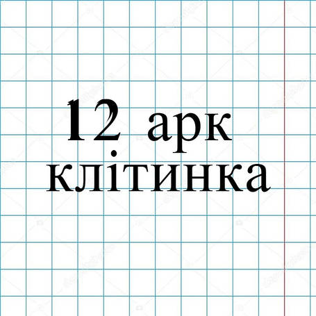 12арк. клітинка