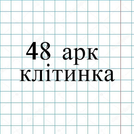 48арк. клітинка