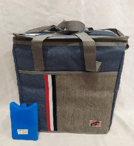 Сумка холодильник термосумка Cooling Bag DT 4241 на 27 л розмір 36х20х38 см