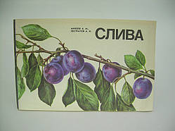 Міхеєв А.М. та ін. Слива (б/у).