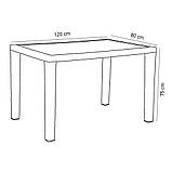 Стіл Tilia Antares 80x120 см стільниця зі скла, ніжки пластикові кавовий, фото 2