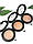 Рум'яна запечені для обличчя Topface Baked Choice Rich Touch Blush On PT703, фото 3