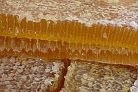 Мед натуральный в сотах (липа с разнотравьем), 600 г