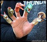 Ляльки на пальці Динозаври — "Dinosaur" — 5 шт., фото 5