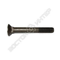 Болт М10 DIN 608 лемешный культиваторный с потайной головкой и низким ...