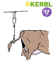 Тримач хвоста 120 см для корів KERBL
