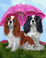 Картина по номерам Собачки под зонтом, Rainbow Art (GX27763) 40х50 см.