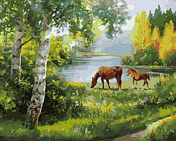 Картина за номерами Коні на лузі, Rainbow Art (GX34062) 40х50 см.