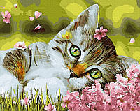 Картина по номерам Котенок в цветочках, Rainbow Art (GX34634) 40х50 см.