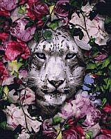 Картина по номерам Снежный леопард, Rainbow Art (GX36065) 40х50 см.