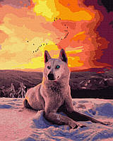 Картина по номерам Северный волк, Rainbow Art (GX35782) 40х50 см.