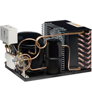Холодильный агрегат Cubigel CMPT12R A3N (ACC)