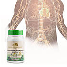 Подорожник. Кульбаба. Каштан, 90 таблеток, Biola, фото 5