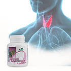 Ендокрин з лецитином, 60 таблеток, Biola, фото 3