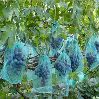 Мешки от ос на виноград зеленные 2 кг, 22*30 см (сетка-мешок для винограда). От ос, мошек и др. насекомых!!!