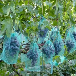 Мішки від ос на виноград зелені 2 кг, 22*30 см (сітка-мішок для винограду). Від ос, мошок та ін. комах!!, фото 1