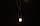 Гірлянда вулична LUMION штора 912LED 2x3m 230V колір білий теплий/чорний IP44 EN, фото 2