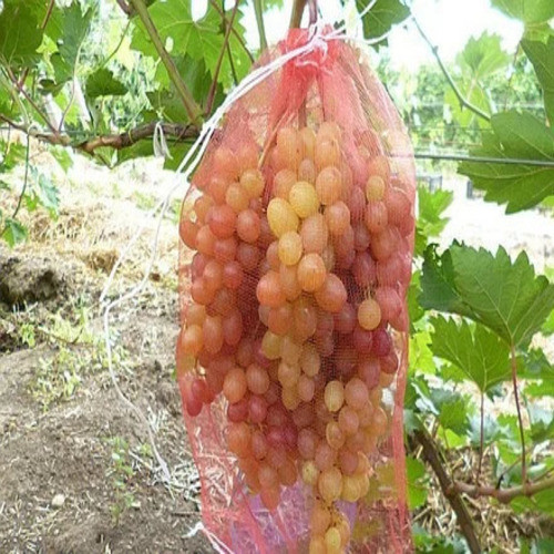 Мешки от ос на виноград красные 2 кг, 22*30 см (сетка-мешок для винограда). От ос, мошек и др. насекомых!!! - фото 1 - id-p570663684