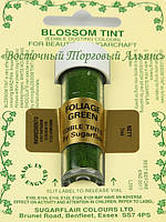 Сухой краситель Sugarflaire - Foliage Green - Зелёная листва 7 ml