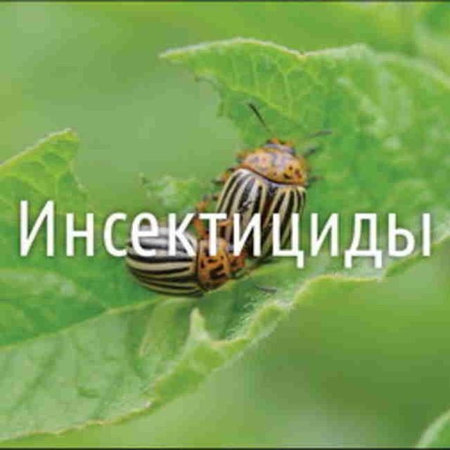 Инсектицидные средства в Киеве от компании "ВЕТАПТЕКА 24".