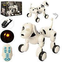 Собака-робот Дог на пульті керування 619, акум, 23 см, ходить, танцює, звук (англ), музика, світло, USВ